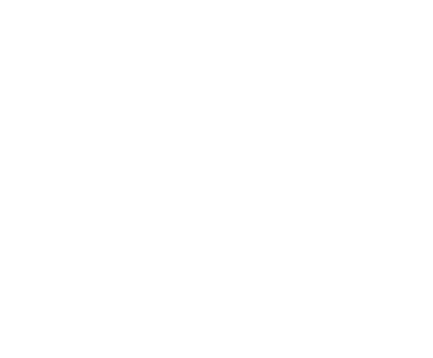 Five Lions Coffee logo